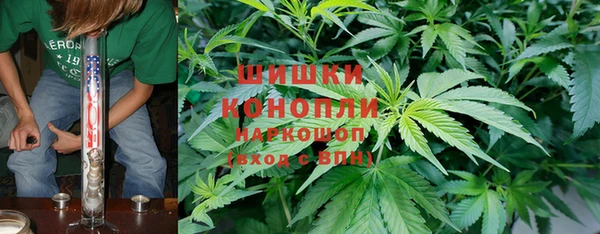 ГАЛЛЮЦИНОГЕННЫЕ ГРИБЫ Армянск