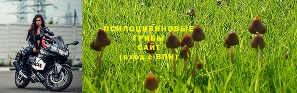 кристаллы Алзамай