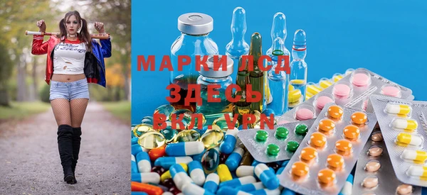 мяу мяу мука Арсеньев