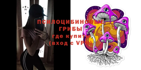 ГАЛЛЮЦИНОГЕННЫЕ ГРИБЫ Армянск
