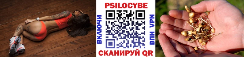 цены наркотик  Крым  Псилоцибиновые грибы мухоморы 